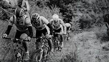 1993<br/>-<br/>273 Teilnehmer